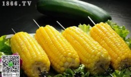 保定玉米行情最新爆料,行情波动，价格走势揭秘