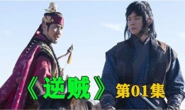 逆贼在线观看,揭秘网络江湖的暗流涌动